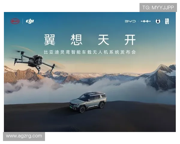 凯发天生一触即发k811111助你轻松掌握游戏技巧实现快速胜利