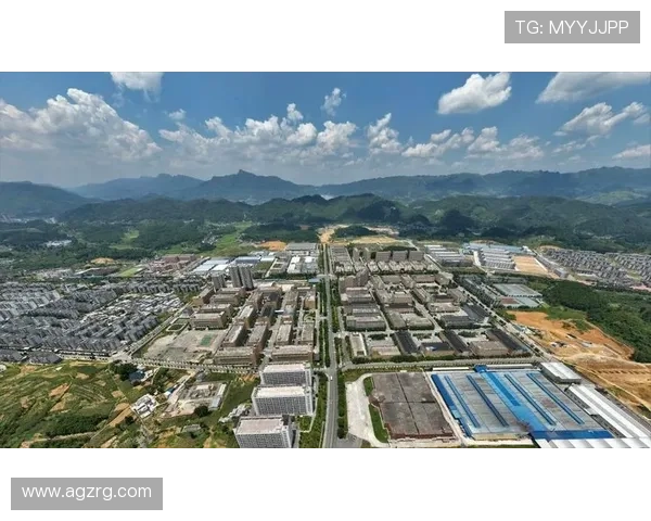 金沙集团是哪个国家的企业，探究其起源、发展历程及国际布局