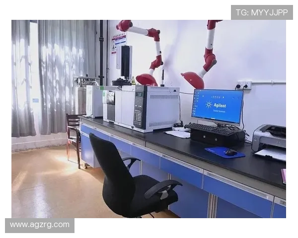 多线路选择保障安全稳定,优质旗舰厅ag登录线路全面解析 多线路选择保障安全稳定,优质旗舰厅ag登录线路全面解析